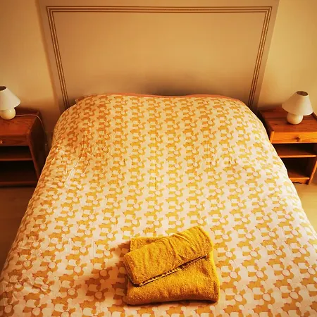 Murmure Du Leman Concise Appartement